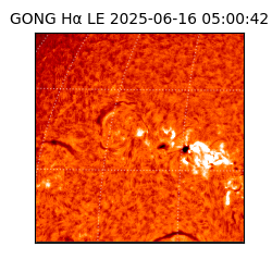 gong - 2025-06-16T05:00:42