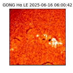 gong - 2025-06-16T06:00:42