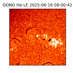 gong - 2025-06-16T08:00:42