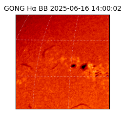 gong - 2025-06-16T14:00:02