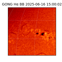 gong - 2025-06-16T15:00:02