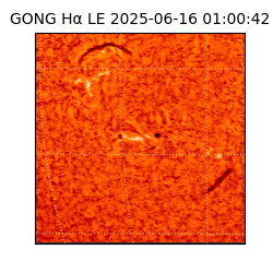 gong - 2025-06-16T01:00:42