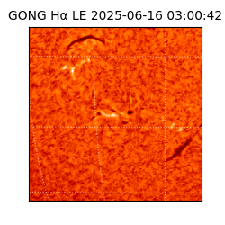 gong - 2025-06-16T03:00:42