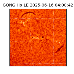 gong - 2025-06-16T04:00:42