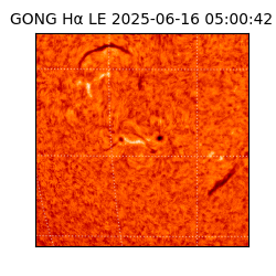 gong - 2025-06-16T05:00:42