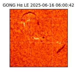 gong - 2025-06-16T06:00:42