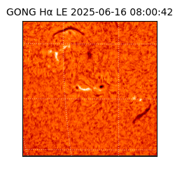 gong - 2025-06-16T08:00:42