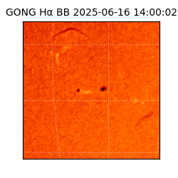 gong - 2025-06-16T14:00:02