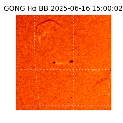 gong - 2025-06-16T15:00:02