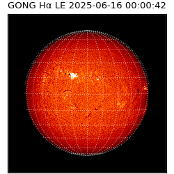 gong - 2025-06-16T00:00:42