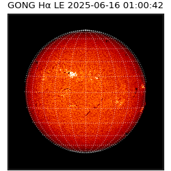 gong - 2025-06-16T01:00:42