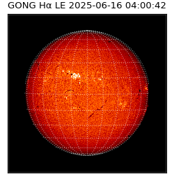 gong - 2025-06-16T04:00:42