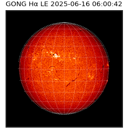 gong - 2025-06-16T06:00:42