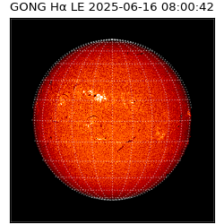 gong - 2025-06-16T08:00:42