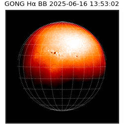 gong - 2025-06-16T13:53:02