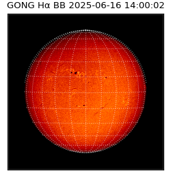 gong - 2025-06-16T14:00:02