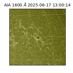 saia - 2025-06-17T13:00:14.126000