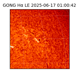 gong - 2025-06-17T01:00:42