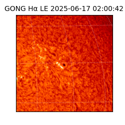 gong - 2025-06-17T02:00:42