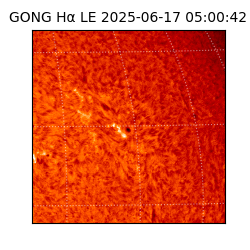 gong - 2025-06-17T05:00:42