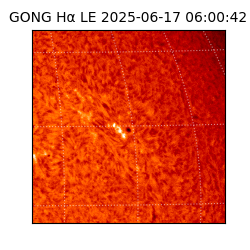 gong - 2025-06-17T06:00:42