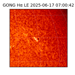 gong - 2025-06-17T07:00:42