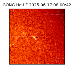 gong - 2025-06-17T08:00:42