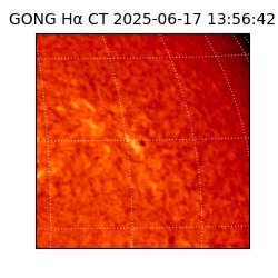 gong - 2025-06-17T13:56:42