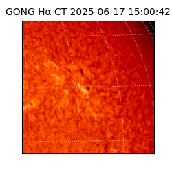 gong - 2025-06-17T15:00:42