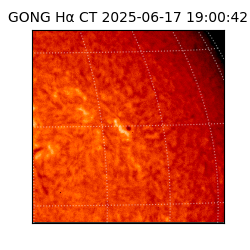 gong - 2025-06-17T19:00:42