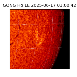 gong - 2025-06-17T01:00:42