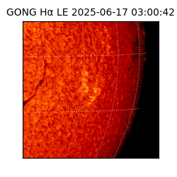 gong - 2025-06-17T03:00:42