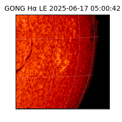 gong - 2025-06-17T05:00:42