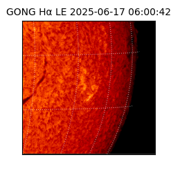 gong - 2025-06-17T06:00:42