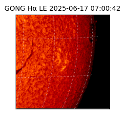 gong - 2025-06-17T07:00:42