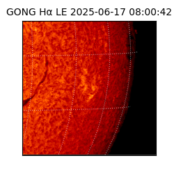 gong - 2025-06-17T08:00:42