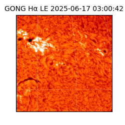 gong - 2025-06-17T03:00:42