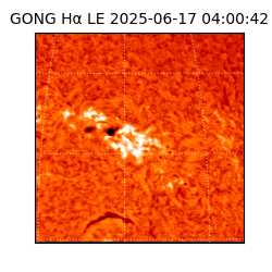 gong - 2025-06-17T04:00:42