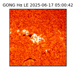 gong - 2025-06-17T05:00:42