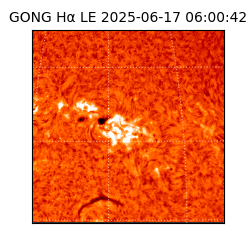 gong - 2025-06-17T06:00:42