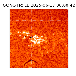 gong - 2025-06-17T08:00:42