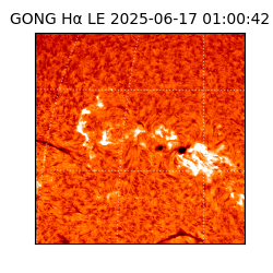 gong - 2025-06-17T01:00:42