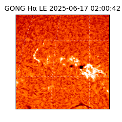 gong - 2025-06-17T02:00:42