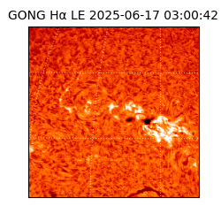 gong - 2025-06-17T03:00:42