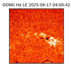 gong - 2025-06-17T04:00:42