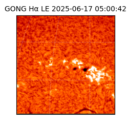 gong - 2025-06-17T05:00:42