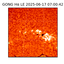 gong - 2025-06-17T07:00:42