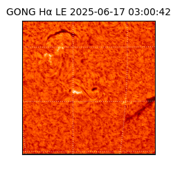 gong - 2025-06-17T03:00:42
