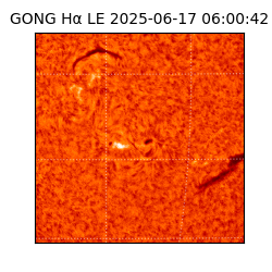 gong - 2025-06-17T06:00:42