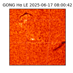 gong - 2025-06-17T08:00:42